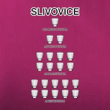 Slivovice počítání (Hana-creative)