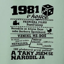 1981 v kostce