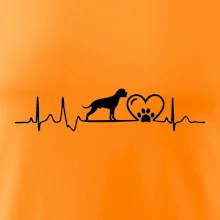Německý boxer EKG