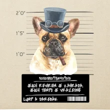 Lump a darebák francouzský buldoček