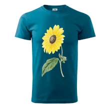 Slunečnice otočená