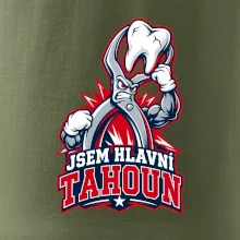 Jsem hlavní tahoun