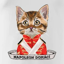 Napoleon domácí kočka Napoleon domácí kočka