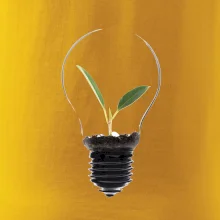 Žárovka květináč