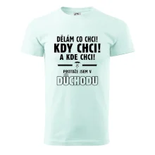 Dělám co chci, kdy chci důchod