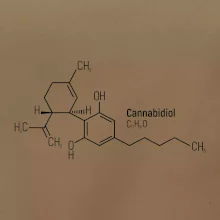 Molekulární struktura CBD (Canabidiol)