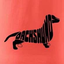 Jezevčík - Dachshund
