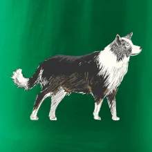 Border kolie kreslená