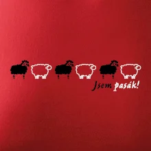 Jsem pasák - ovce v řadě