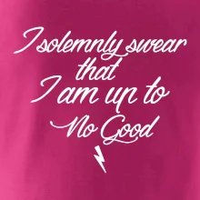 I solemnly swear that I'm up to no good