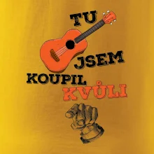Tu kytaru jsem koupil kvůli tobě