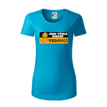 Jsem týhle stavby vedoucí