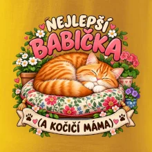 Nejlepší babička a kočičí máma spící zrzavý kocour