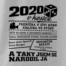 2020 v kostce