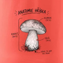 Anatomie hříbka