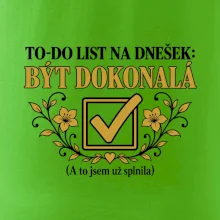 To-Do list na dnešek Být dokonalá