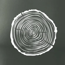 Letokruhy 25 bez věku