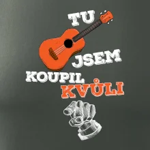 Tu kytaru jsem koupil kvůli tobě