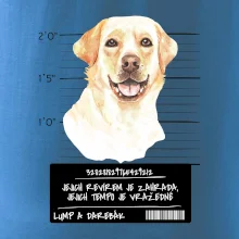 Lump a darebák labrador