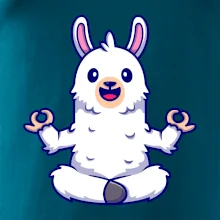 Yoga meditace - lama