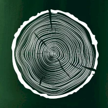 Letokruhy 50 bez věku