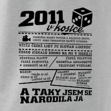 2011 v kostce