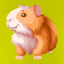 Morče - kreslené, bílo oranžové