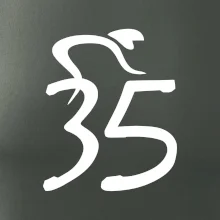 Cyklista slaví pětatřicítku (35)