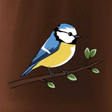 Sýkorka modřinka na větvi