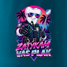 Zatýkám váš plak