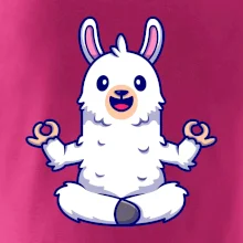 Yoga meditace - lama