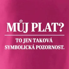 Můj plat? to jen taková symbolická pozornost