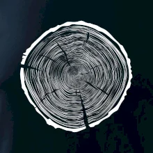 Letokruhy 95 bez věku