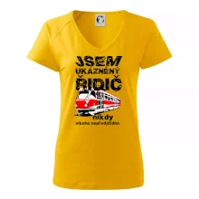 Jsem ukázněný řidič - tramvaj