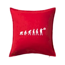 Evoluce střelec terč