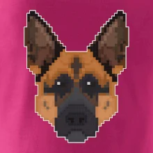 Německý ovčák - Rozkostičkovaný