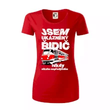 Jsem ukázněný řidič - tramvaj