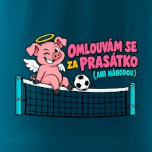 Nohejbalové prasátko na síti