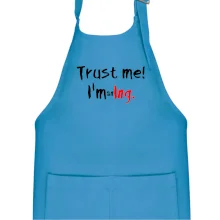 Trust me I´m an Ing. / Věř mi jsem Ing. Trust me I´m an Ing. / Věř mi jsem Ing.