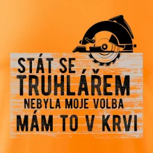 Stát se truhlářem nebyla moje volba