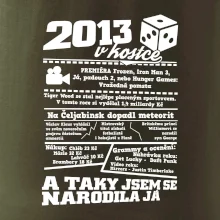 2013 v kostce