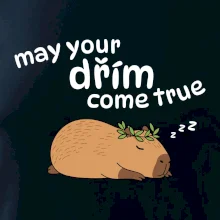 May your dřím come true