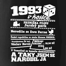1993 v kostce