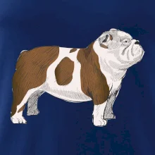 Vintage English bulldog