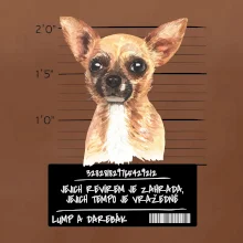 Lump a darebák čivava