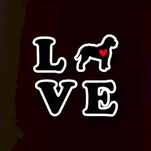 Lagotto romagnolo LOVE