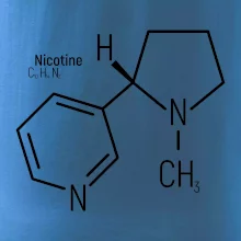 Molekulární struktura Nikotin