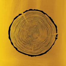 Letokruhy 90 bez věku