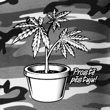 Konopi prostě pěstuju