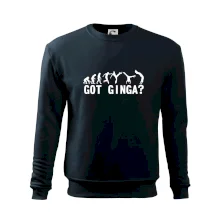 Capoeira - Got Ginga